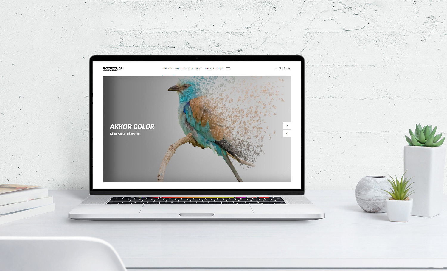 Akkorcolor - Ultra Web Siteleri